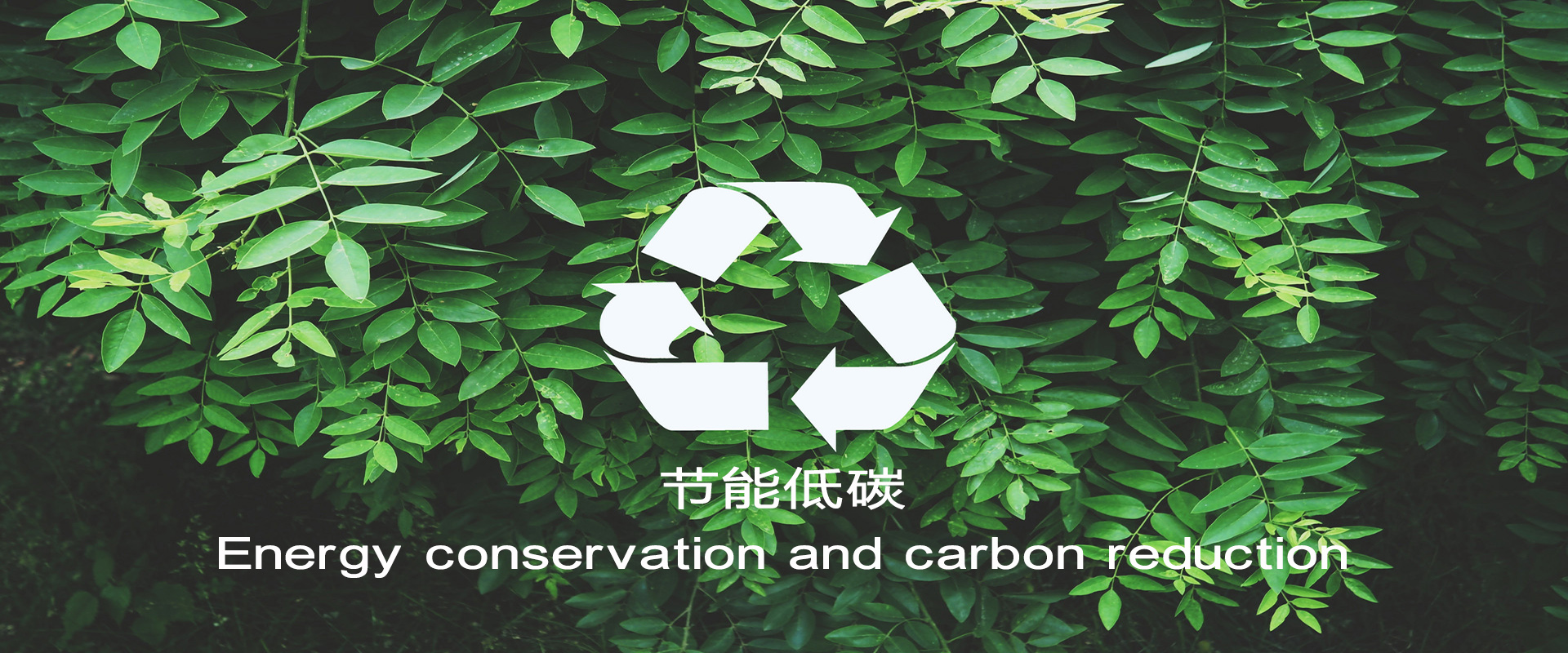 中国·太阳成集团tyc9728(股份)有限公司-官方网站